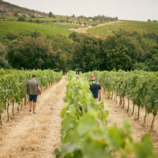 Wine & Lunch tour in Tuscany