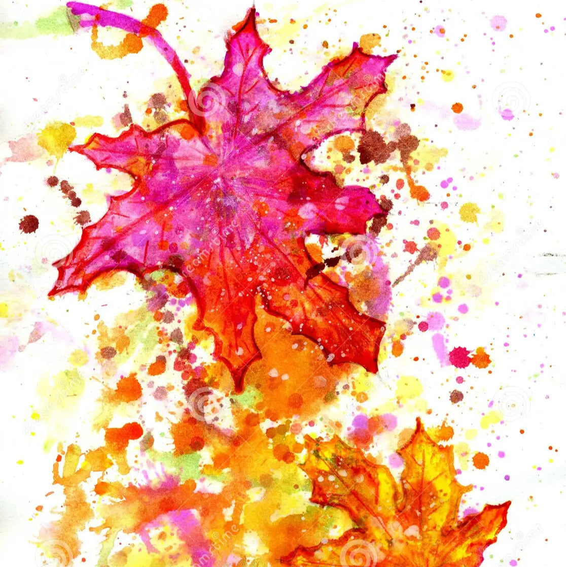 Foliage & PicNic experience